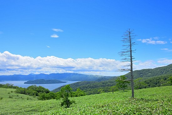 Wakoto onsen