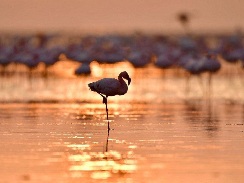 Lac Natron