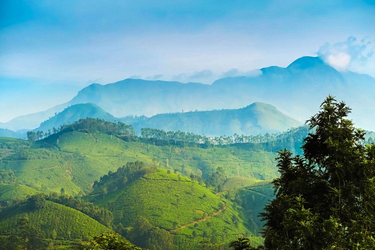 Munnar