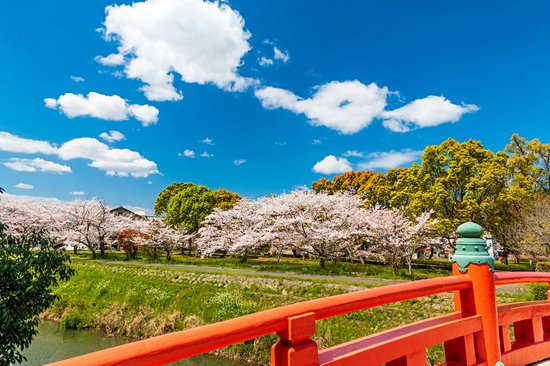 Sanctuaire Usa-jingu