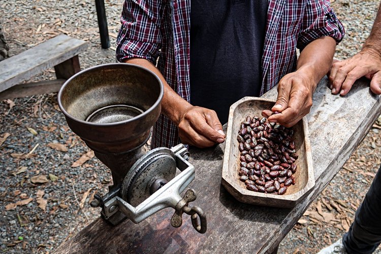 Équateur – De Guayaquil à Mindo
