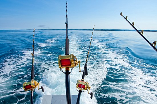 S'initier à la pêche au gros