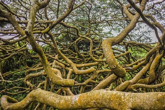 Parc national de Shoushan