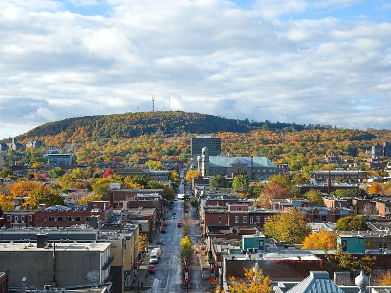 Le Plateau-Mont-Royal et le Mile End