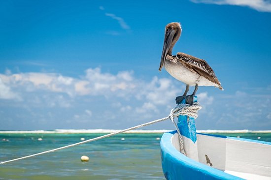 Akumal