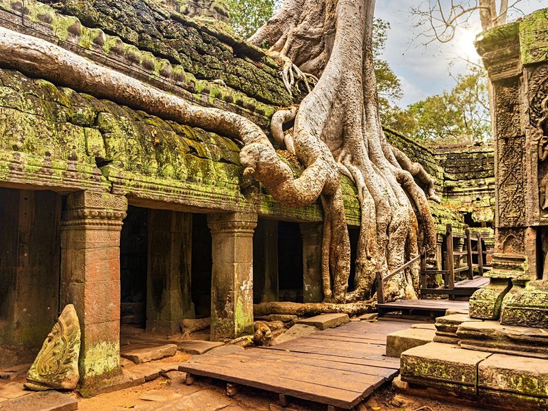 Ta Prohm