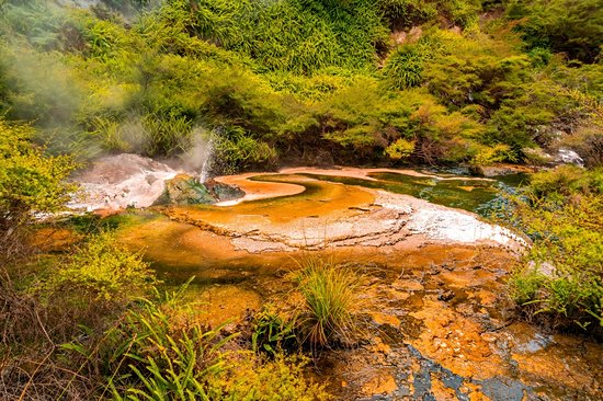 Vallée Volcanique de Waimangu