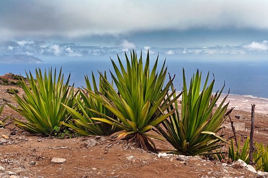 Monte Verde