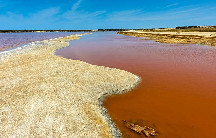Le lac Rose 