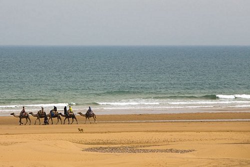 Les plus belles plages