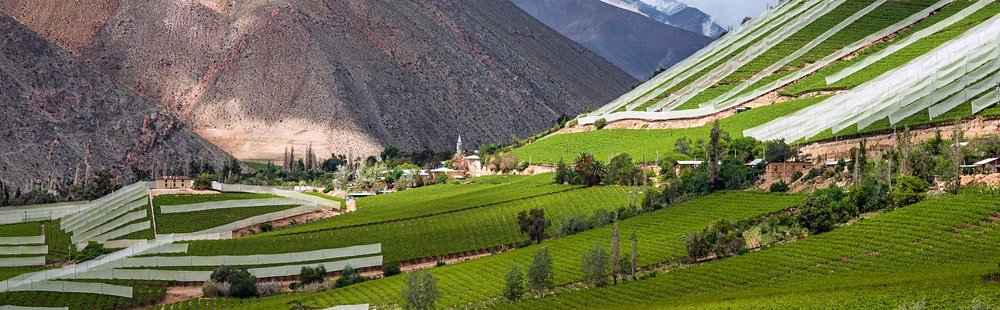 Valle del Elqui