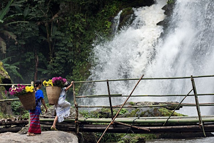 Baignade dans les cascades