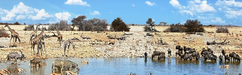 Etosha