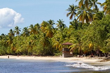 La plage de la Grande Anse des Salines