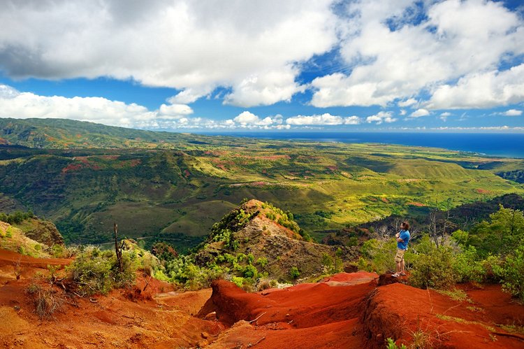 Waimea Canyon State Park - Kauai 2