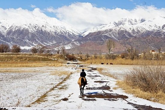 Faire l'expérience d'un trek à cheval
