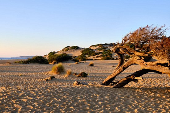 Dunes de Piscinas