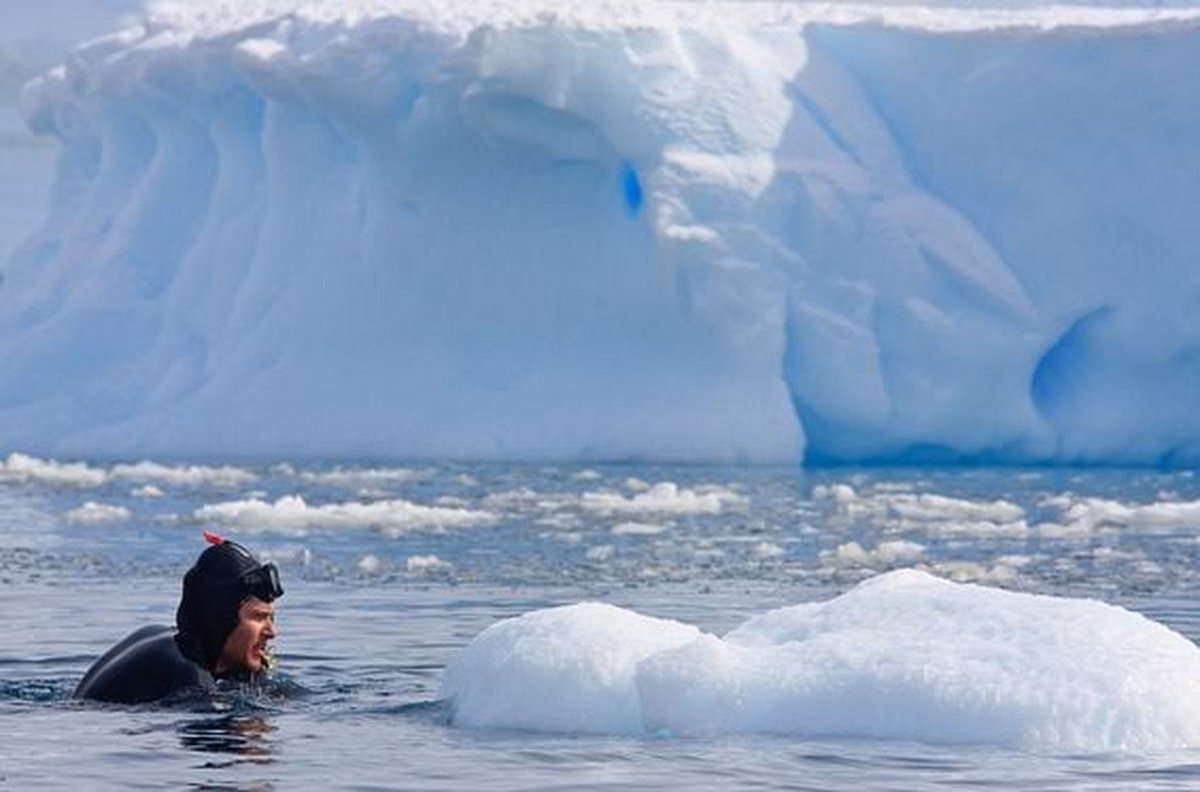 Sauter dans l'une des eaux les plus froides au monde