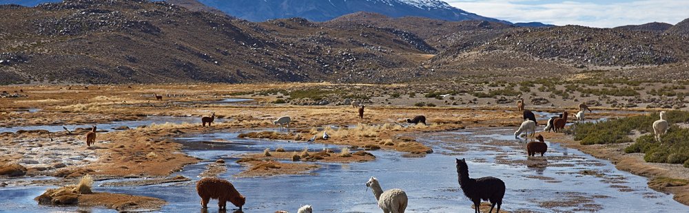 Parc national Lauca
