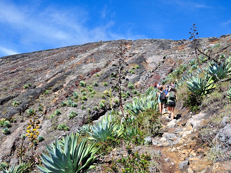 Parc national de Los Volcanos ou Cerro Verde