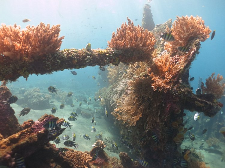 L'épave du Japanese Wreck 2