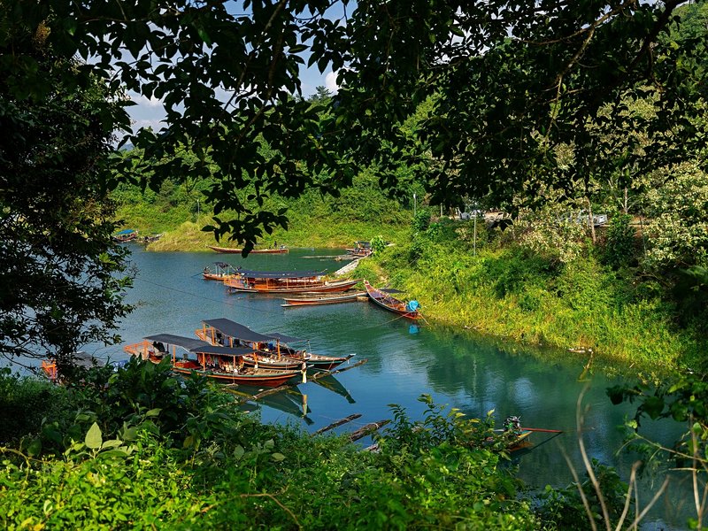 Partir en randonnée dans la forêt du parc