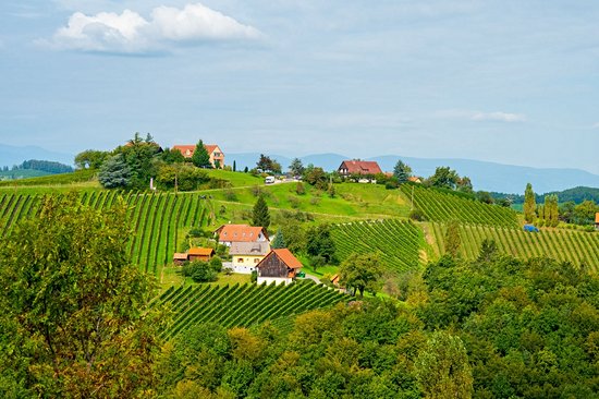Leutschach