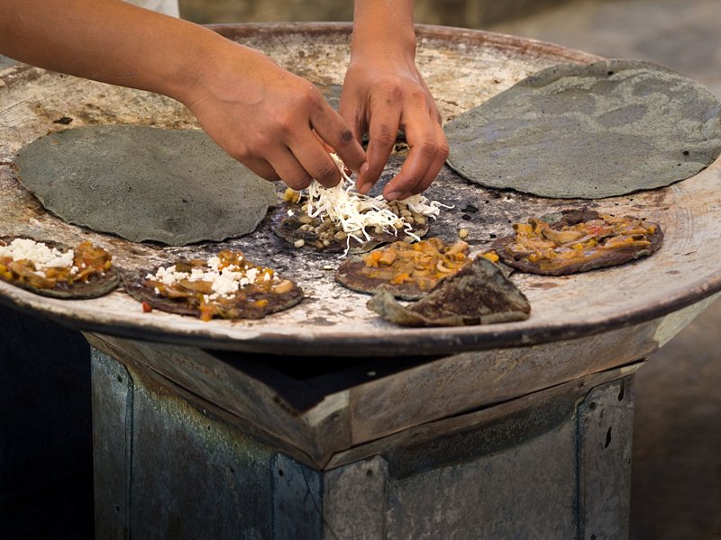 Le quartier de Xochimilco