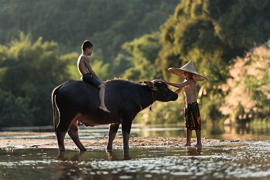 Sapa et les montagnes du nord Vietnam