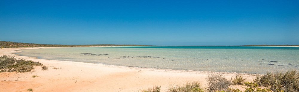 Shell Beach (Coral Bay)