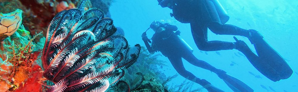Raja Ampat, Papouasie Occidentale