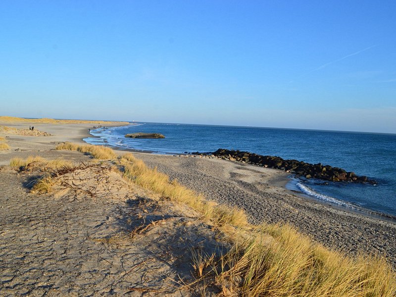 Grenen