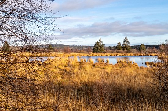 Les Hautes Fagnes