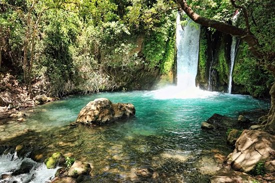 Marcher dans la réserve naturelle de Banias 