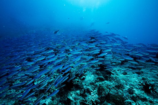 Baa Atoll