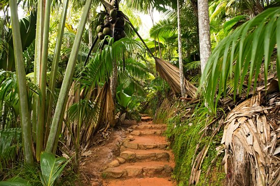 Parc national de Praslin