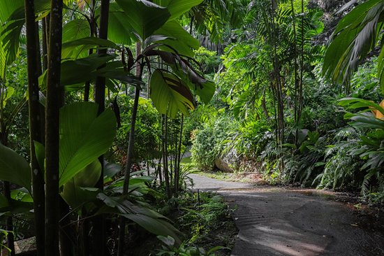 Jardin botanique de Victoria
