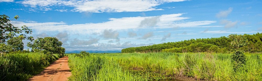 Parc national du Pantanal
