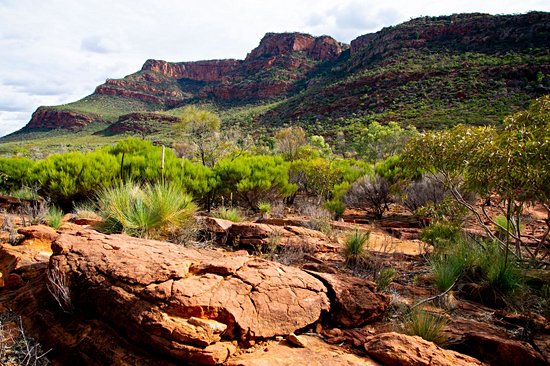 Parc national des Ikara-Flinders Ranges