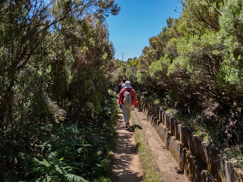 PR6.2 : Levada do Alecrim