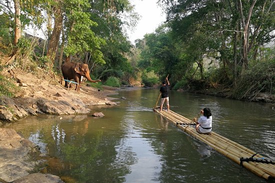 Trek à Chiang Mai : le Huai Pong Trail