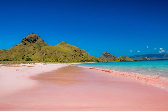Le parc national Komodo