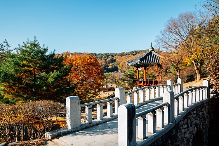 Andong et le village d’Hahoe 3