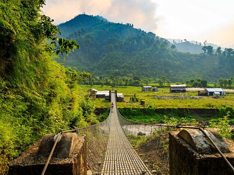 Parc national de Chitwan