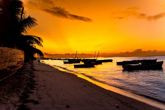 Les plages de Mafia Island