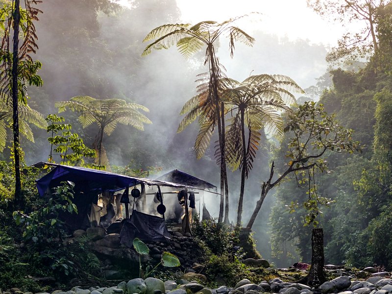 Parc national de Gunung Leuser