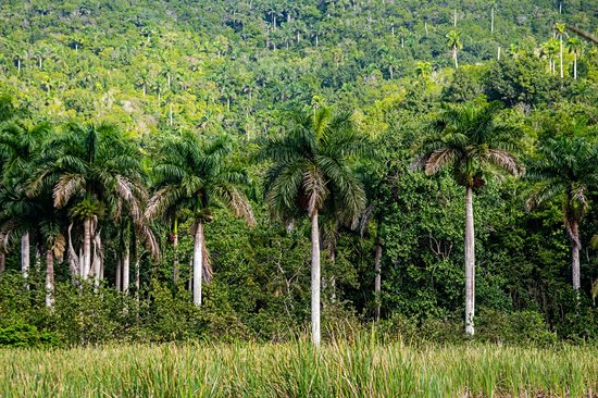 Sierra del Rosario