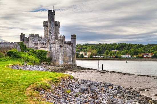 Cork