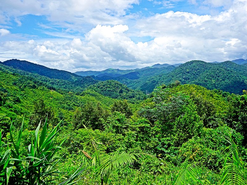 Nam Et-Phou Louey National Park