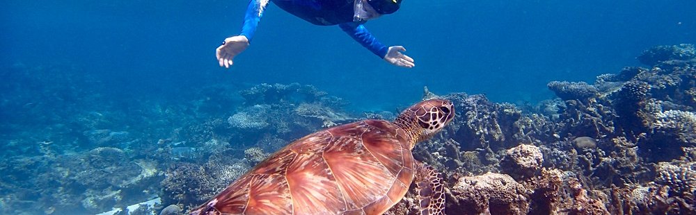 Récif de Ningaloo